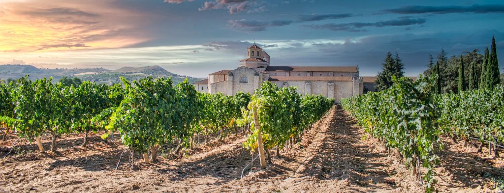 Adobe Stock landbouw Spanje