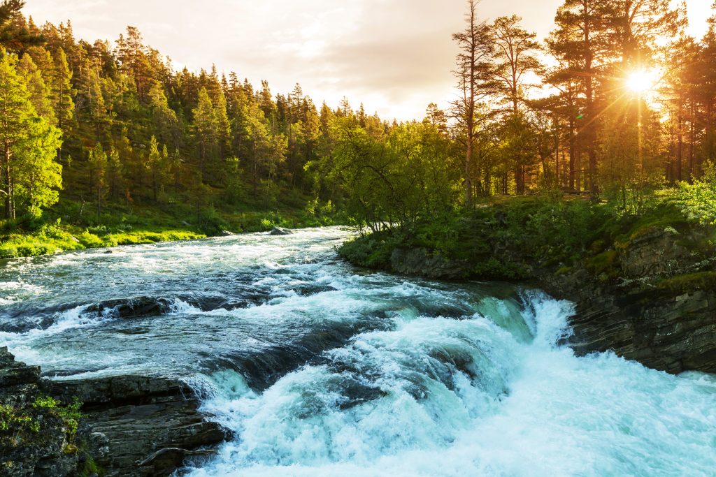 Noorwegen bos rivier change inc adobe stock