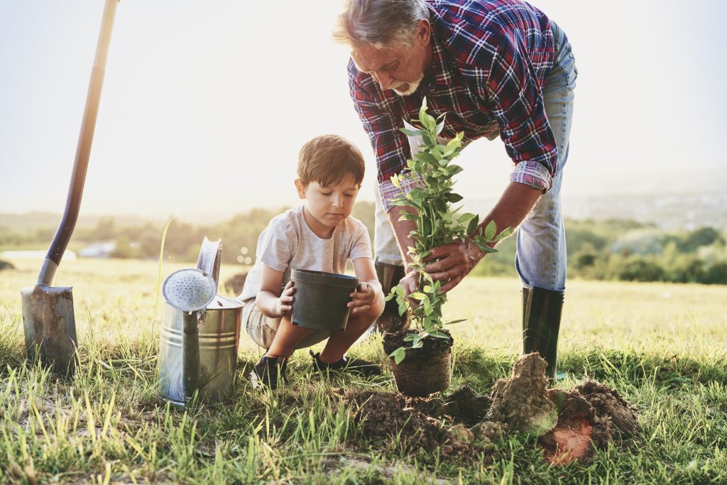 Adobe Stock familie boom planten