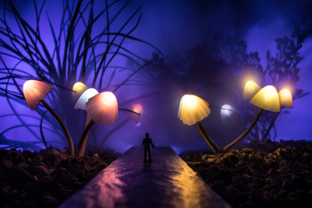 Verlichte natuur