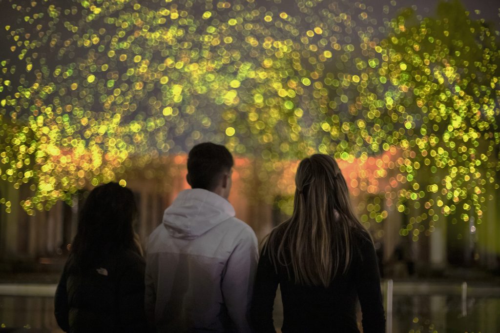 25 SPARK Roosegaarde