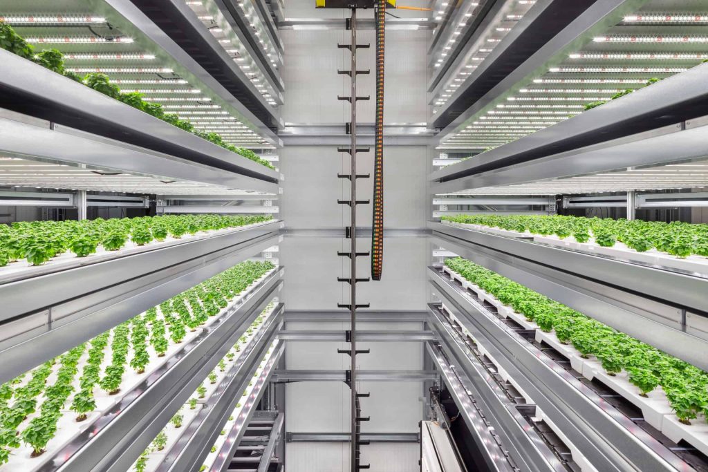 Infarm technologie verticaal