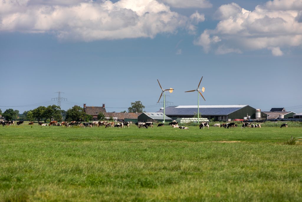 Friesland Campina Wind Solar Sustainable 2020