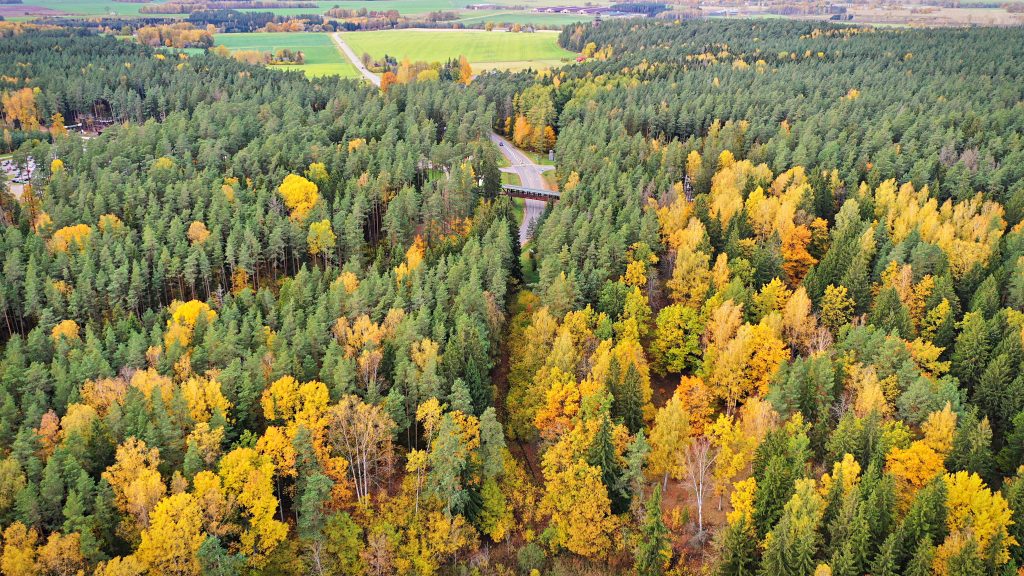 Bos letland herfst