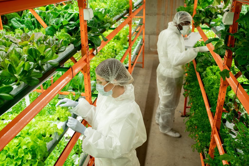 Vertical farm