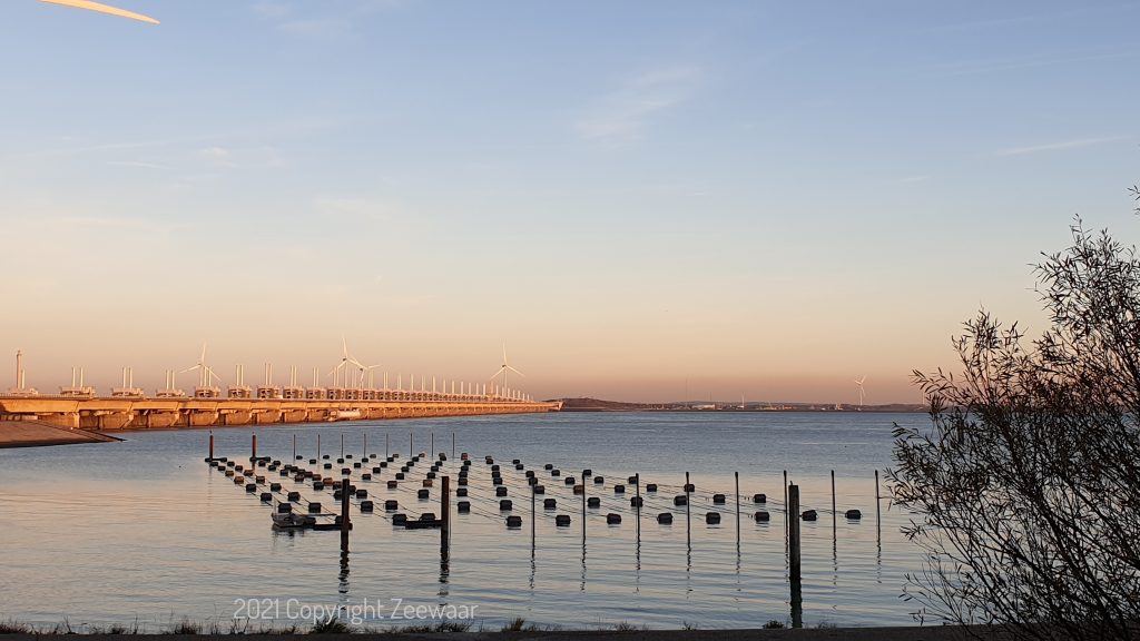 1 Zonsopkomst bij de Zeewaar zeewierboerderij copyright 2021