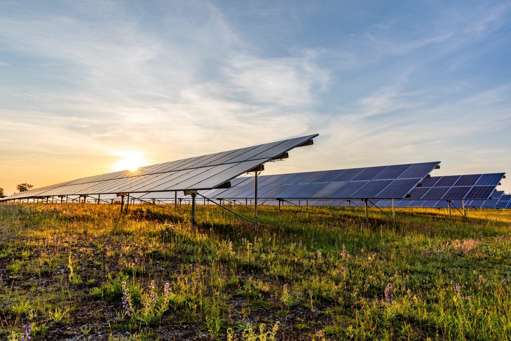 Adobe Stock zonnepanelen op veld