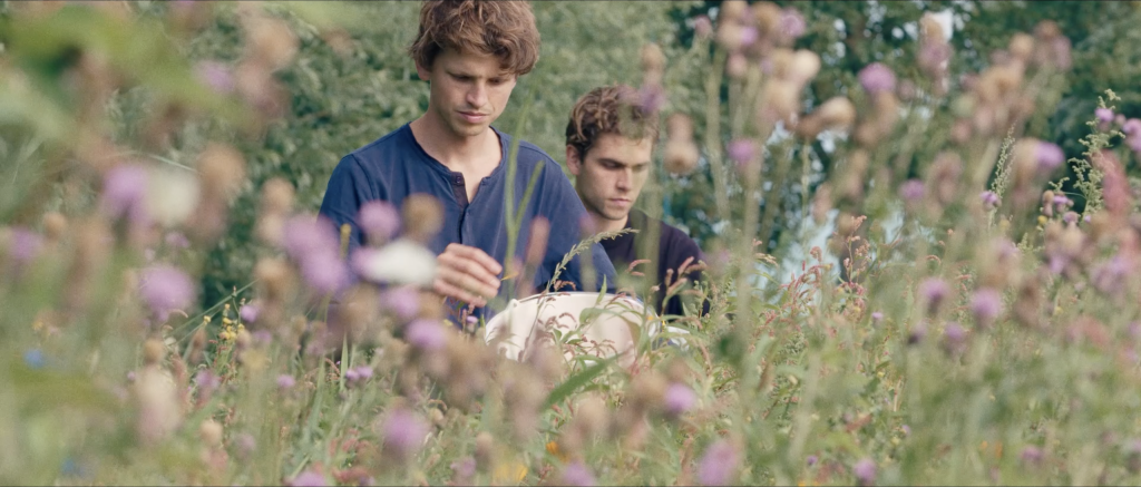 Wilder Land oogst Daan Matthijs
