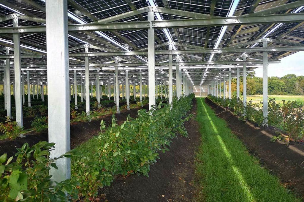 Agrosolar MKG Göbel