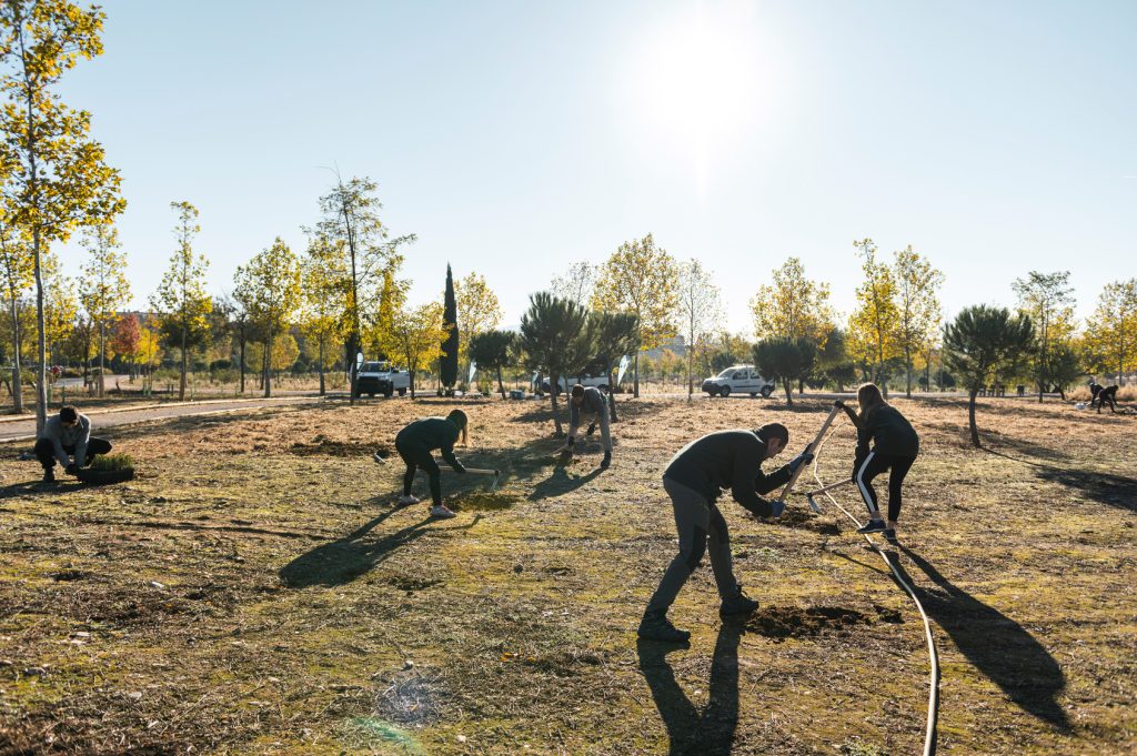 Bomen planten