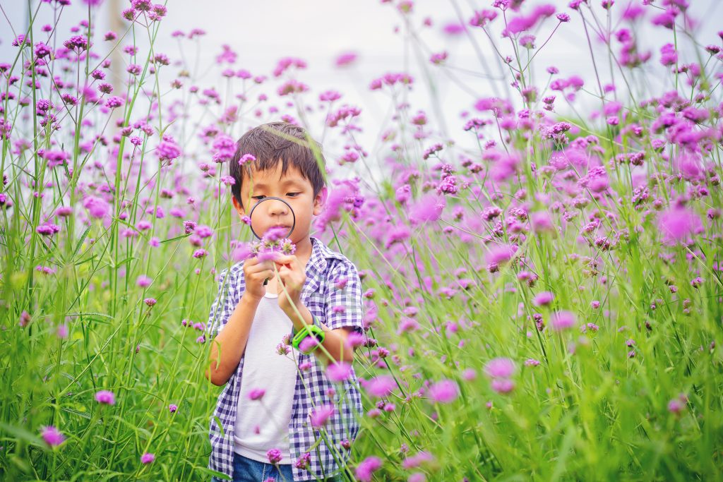 Adobe Stock 507205801 jongetje onderzoekt bloem met vergrootglas