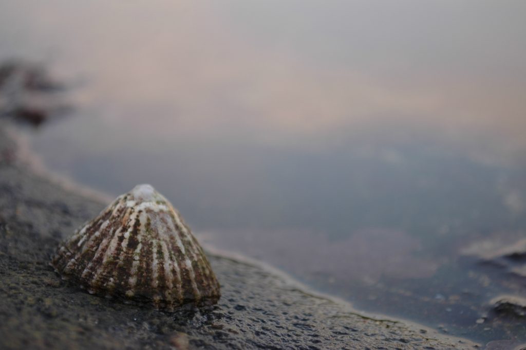 Adobe Stock 136354344