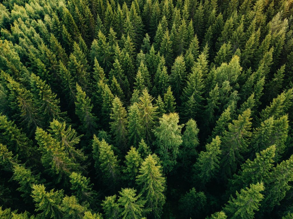 Adobe Stock 192168592
