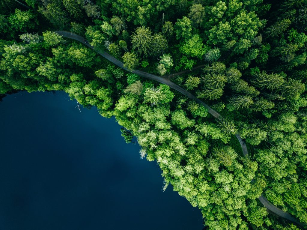 Adobe Stock 274087646