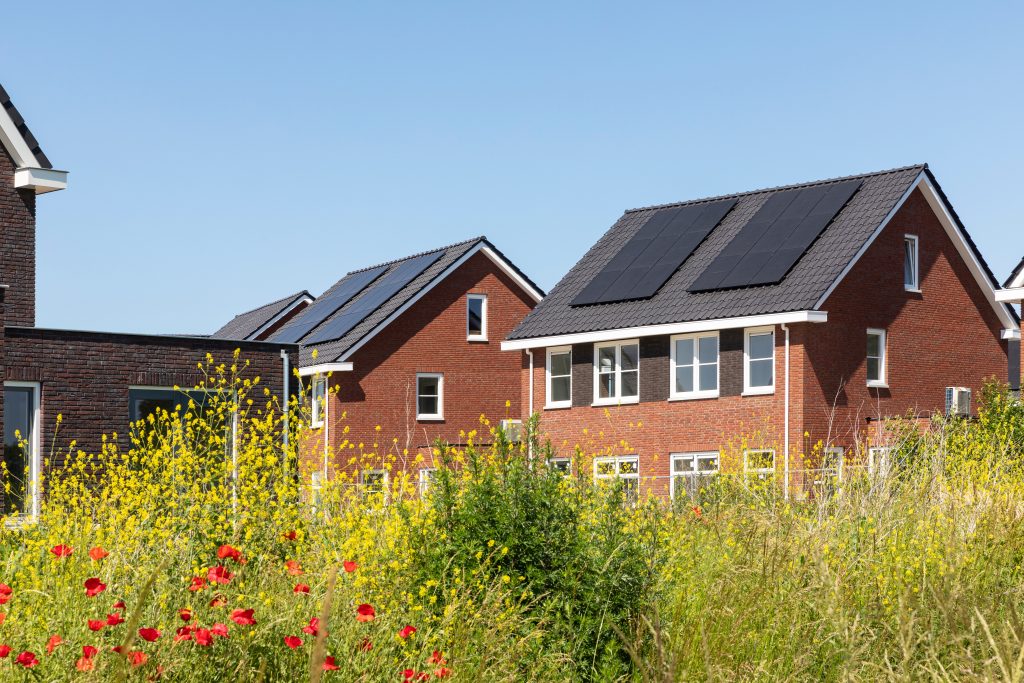 Adobe Stock zonnepanelen op nederlandse daken
