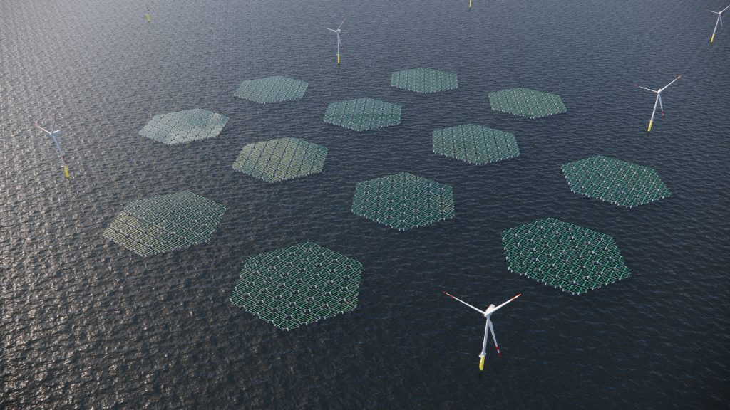 Solar Duck Large Plant 001