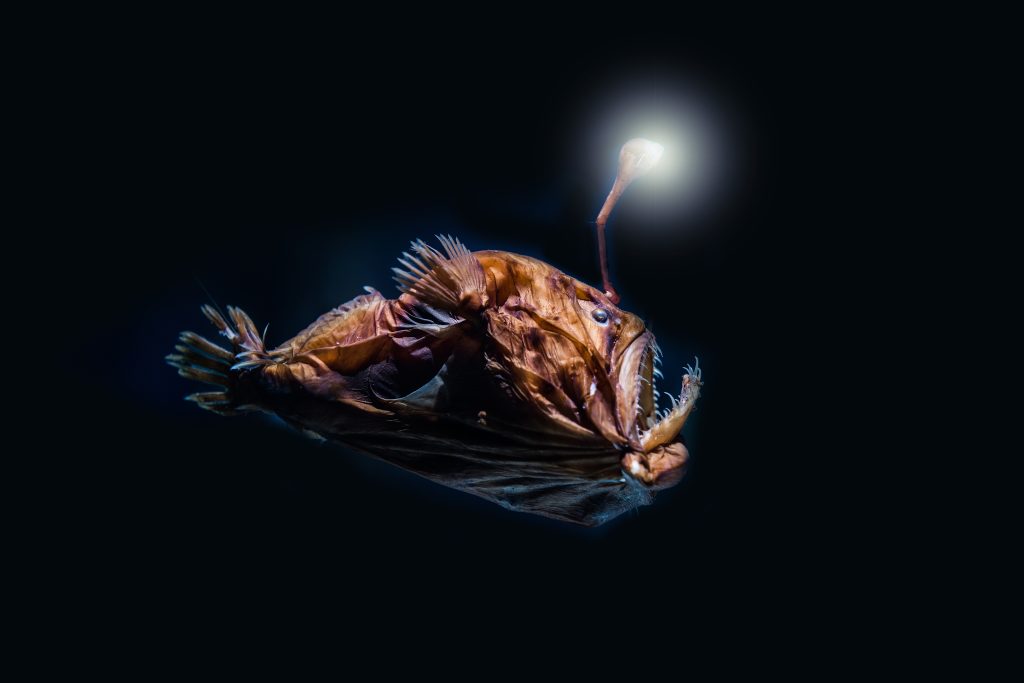 Adobe Stock 87301853