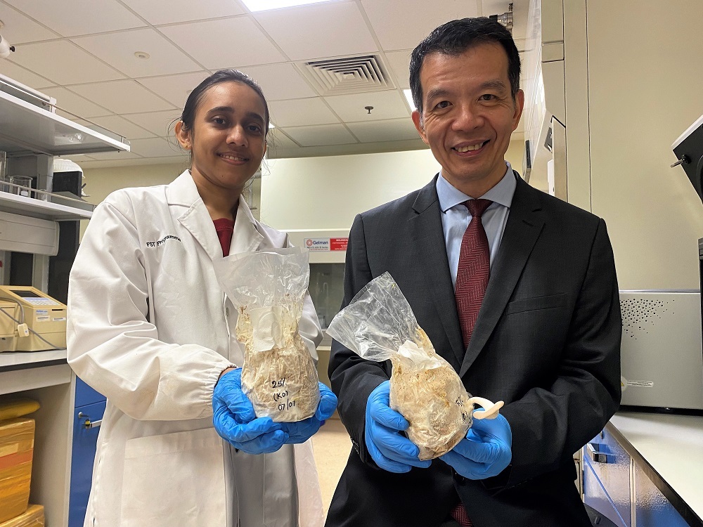 Fungi based protein healthier and greener alternative to plant based meat