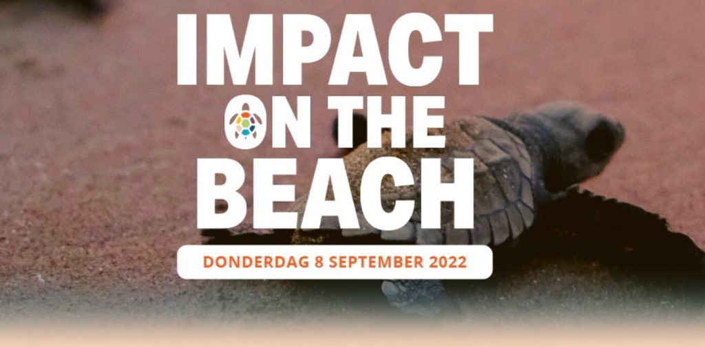 Impact on the beach 2022 08 22 141104