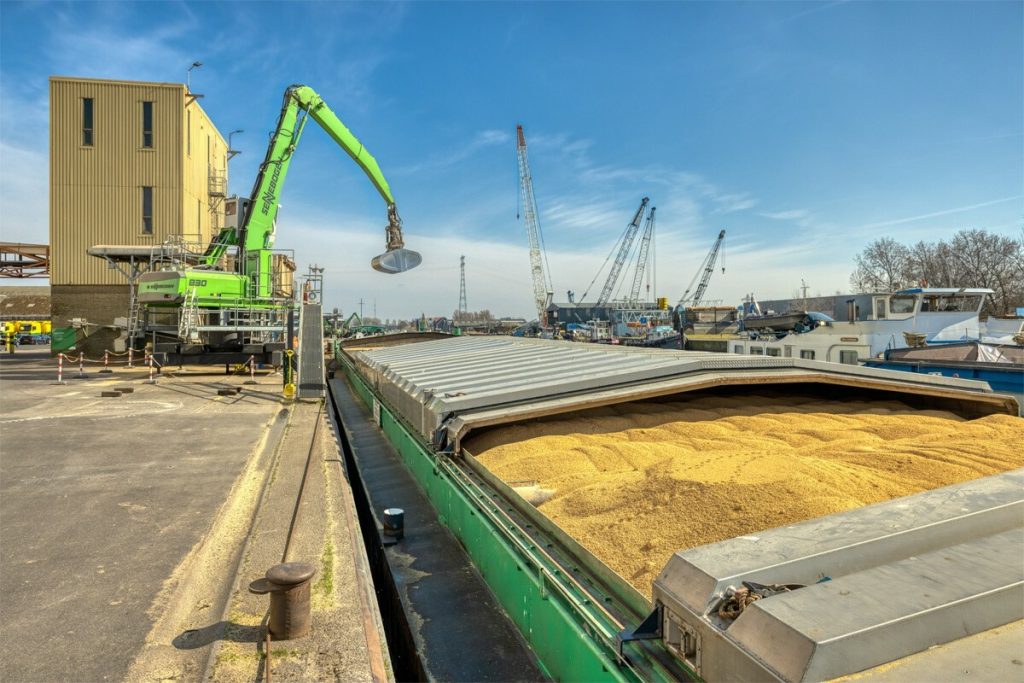 Ontbossingsvrijesoja lossen drachten locatie