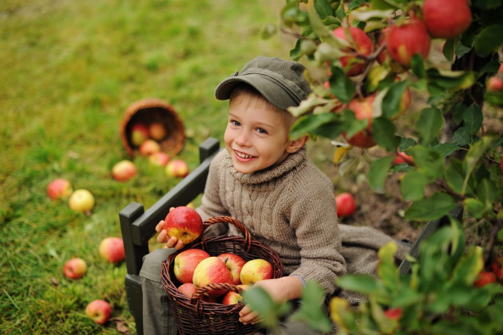 Adobe Stock kind met appels