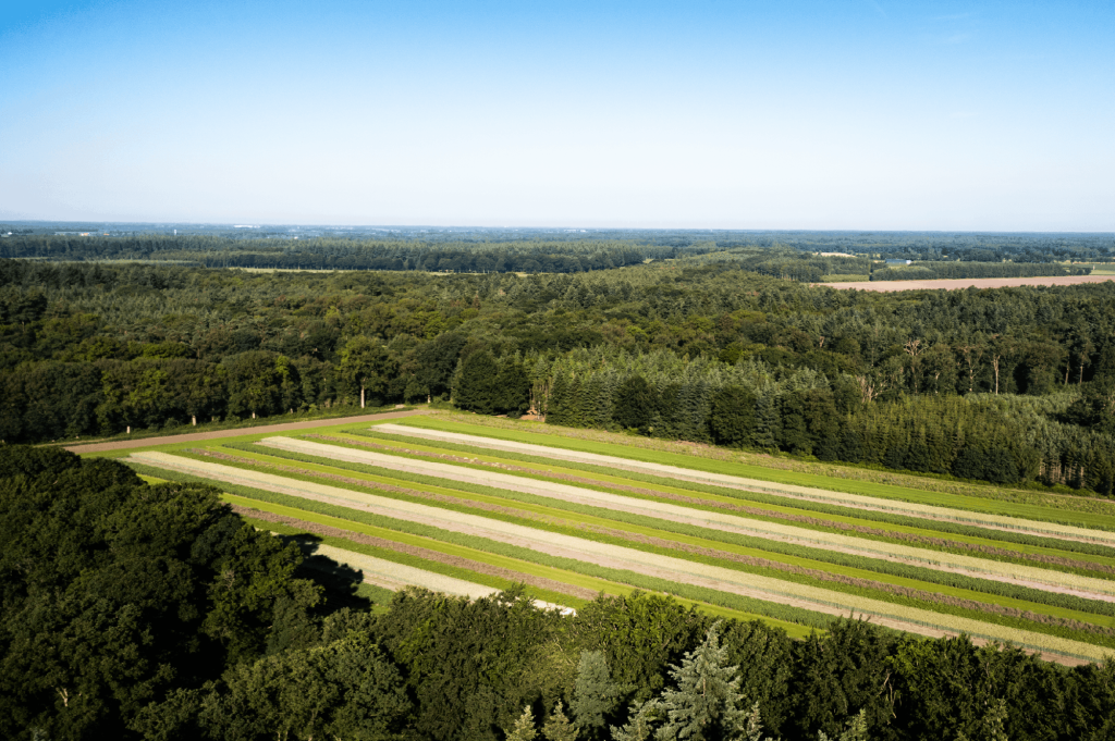 Strokenteelt van VP Landbouw