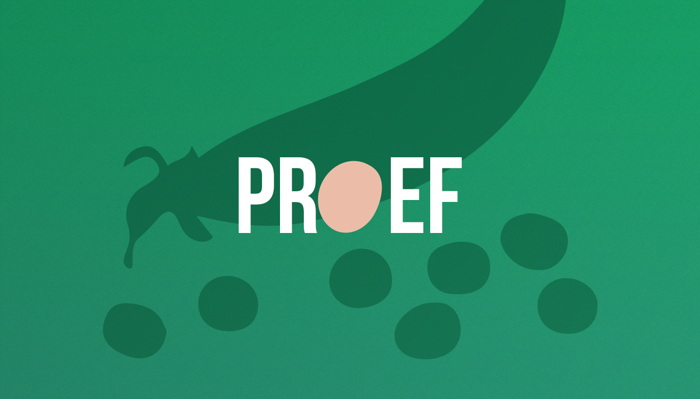 Proef! Plantaardige poederfrikandellen - Change Inc.