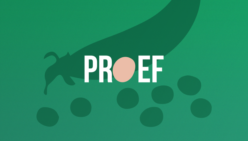 PROEF Rubriek 1440x822 v3