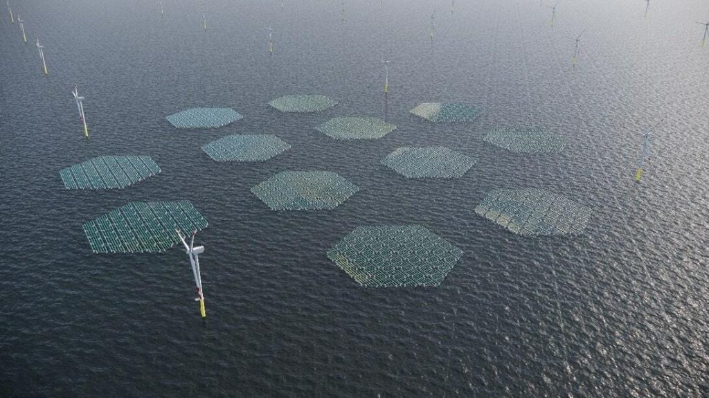 SolarDuck gaat voor windpark Oranjewind het grootste offshore zonnepark ter wereld aanleggen.