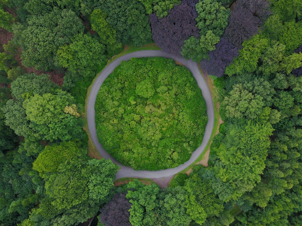 Adobe Stock 299126281