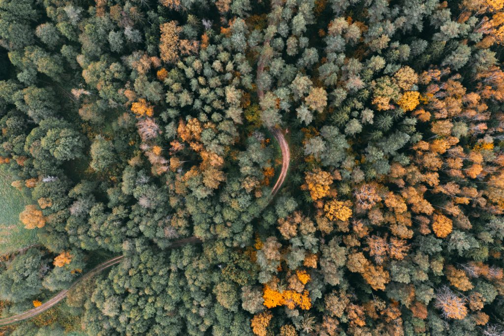 Adobe Stock 464682969