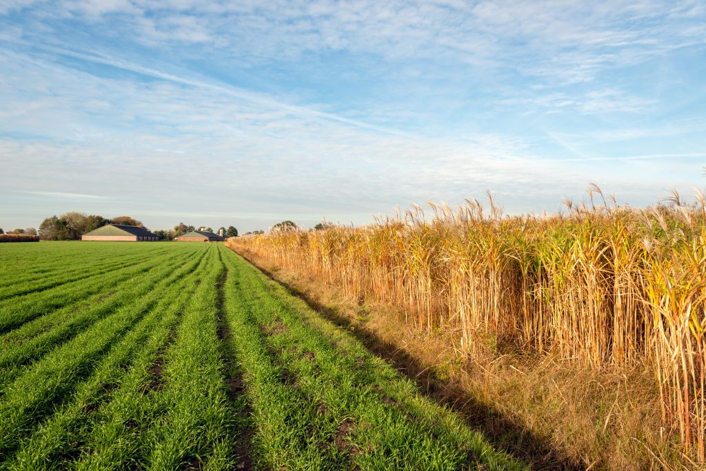 Adobe Stock 231521477 1