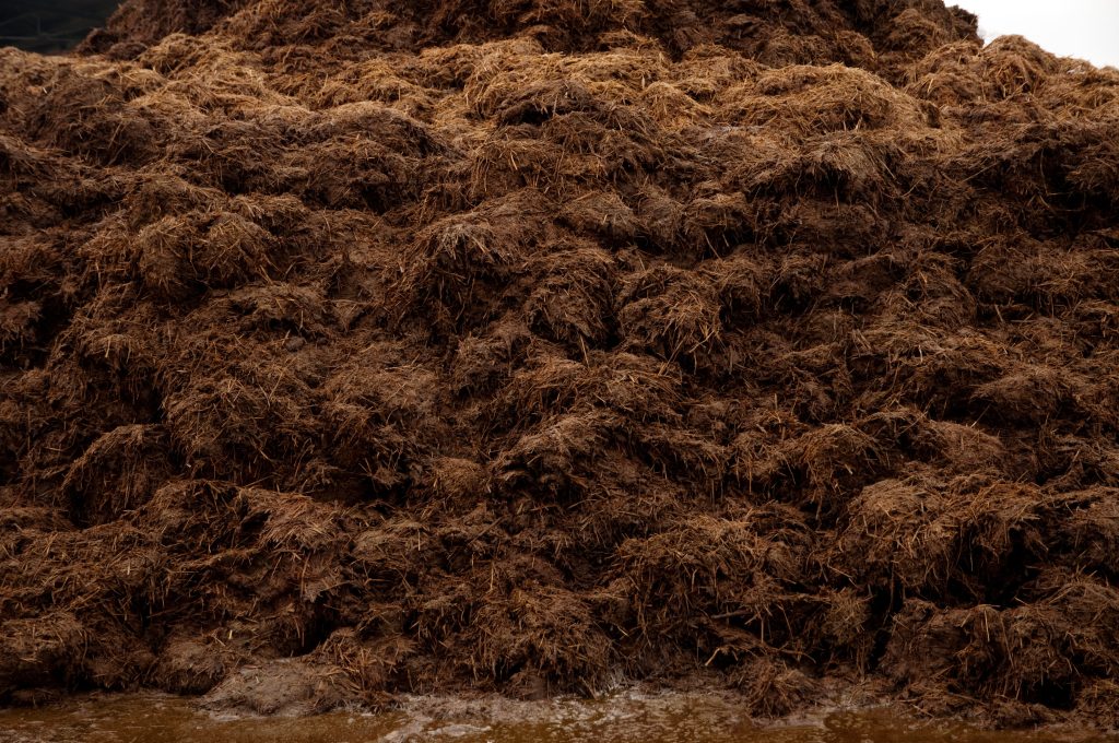 Adobe Stock 28665022