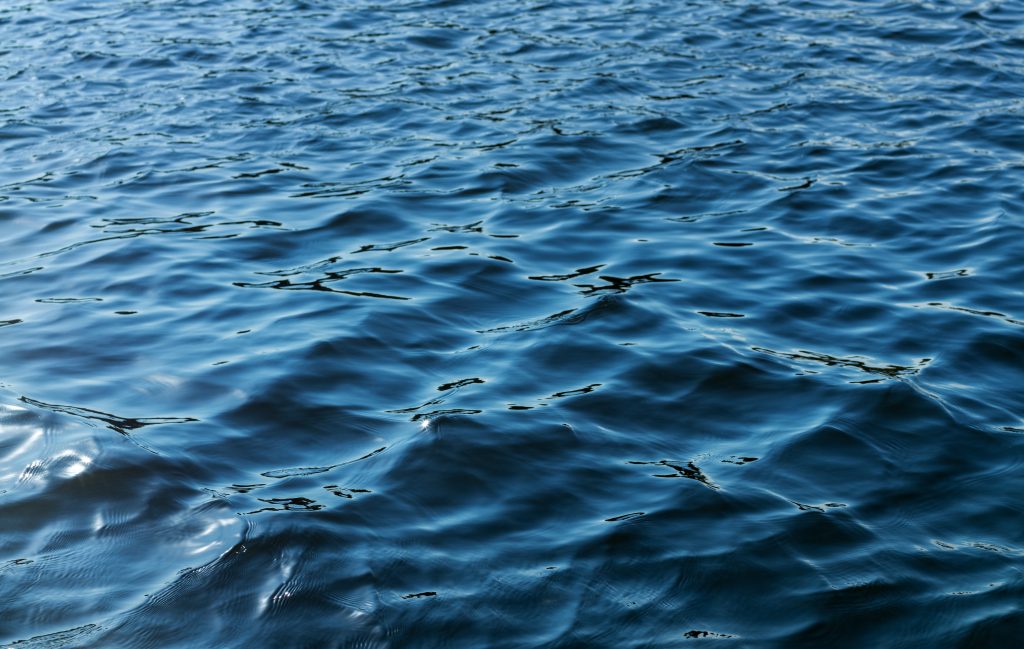 Adobe Stock 389442480