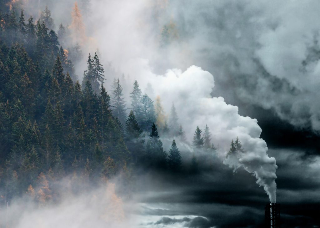 Adobe Stock fabriekspijp stoot rook uit over bomen