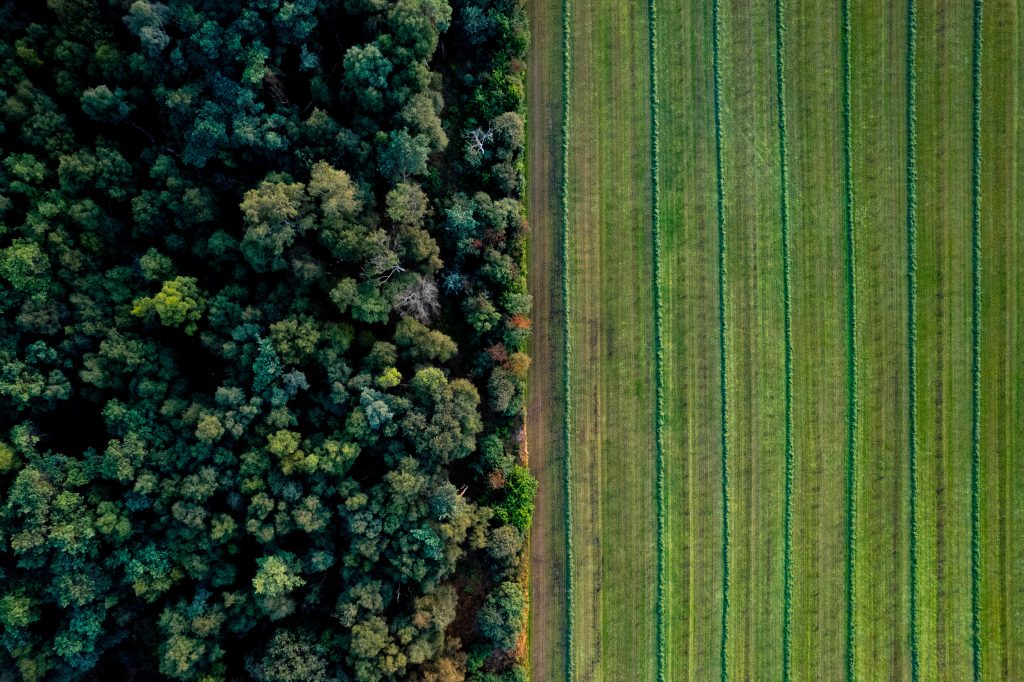 Adobe Stock 450765857