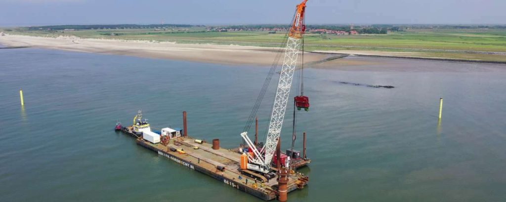 Seaqurrent groot