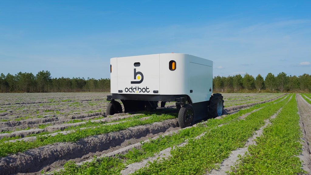 Odd Bot Maverick in field