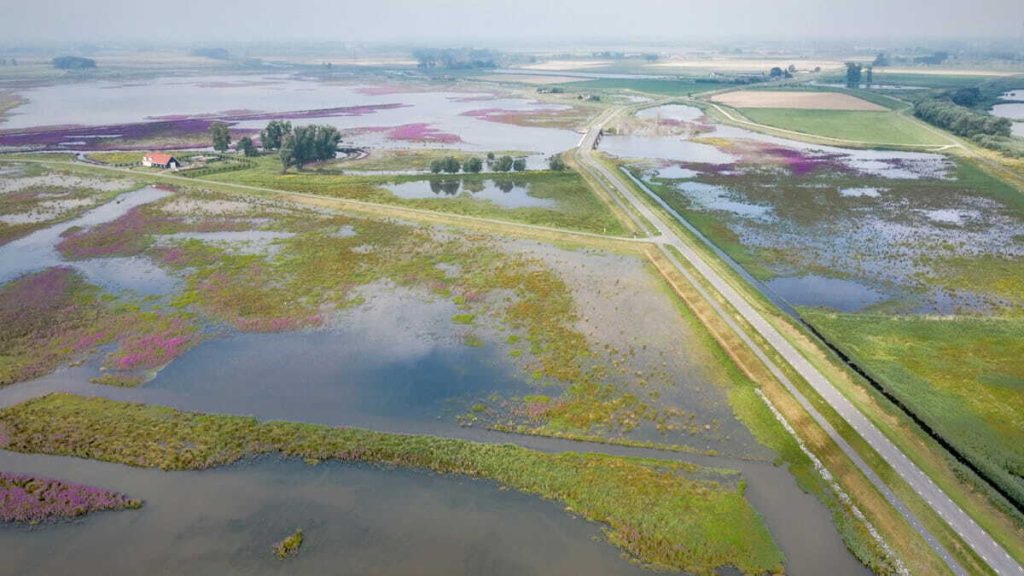 Noordwaard Biesbosch