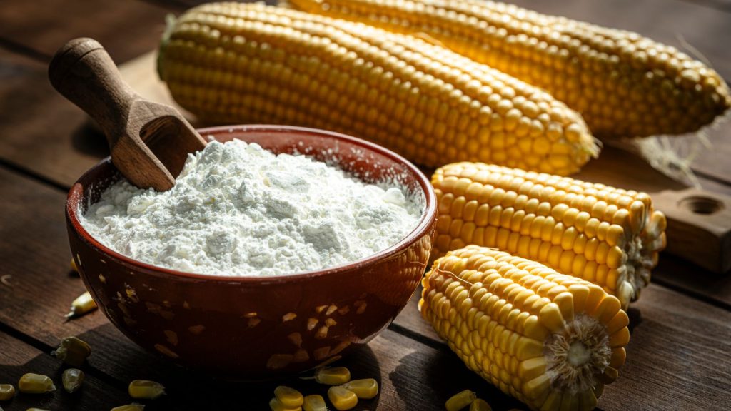 Corn flour and corn cobs on rustic wooden table. Starch grain
