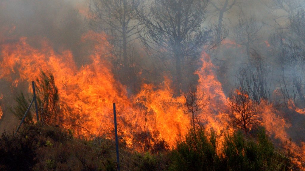 bosbrand in Zuid-Europa