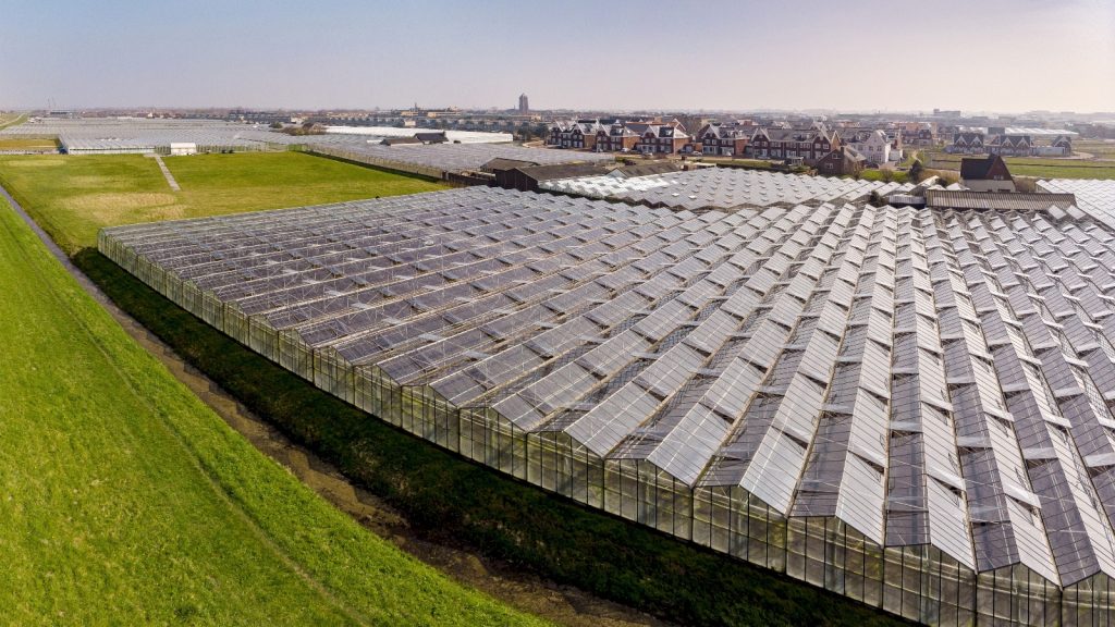 aardwarmte geothermie Nederland
