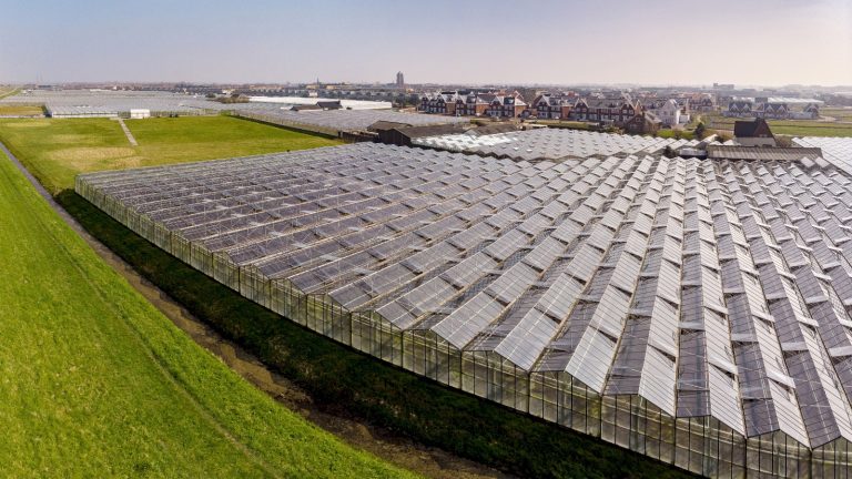 aardwarmte geothermie Nederland