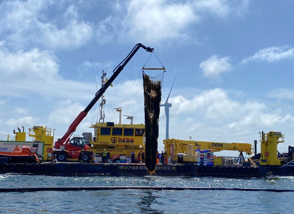 De eerste oogst van zeewierboerderij North Sea Farm 1 afgelopen zomer