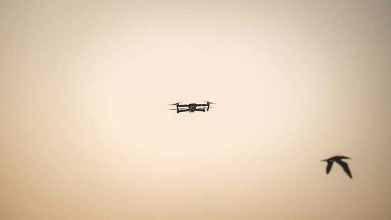 bamboe duurzaam drone China