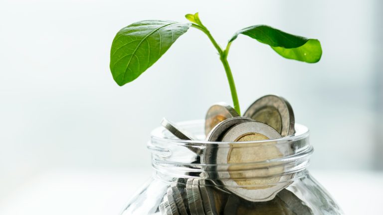 winst bedrijven externaliteit kosten sociaal milieu true profits