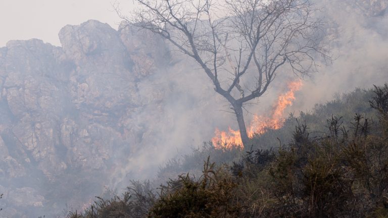 Bosbrand in Spanje. Klimaatverandering Europa.