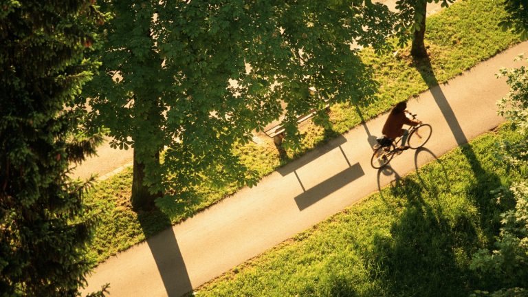 stad wijken vergroenen biodiversiteit