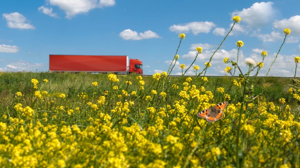 bermgras biobased bouw
