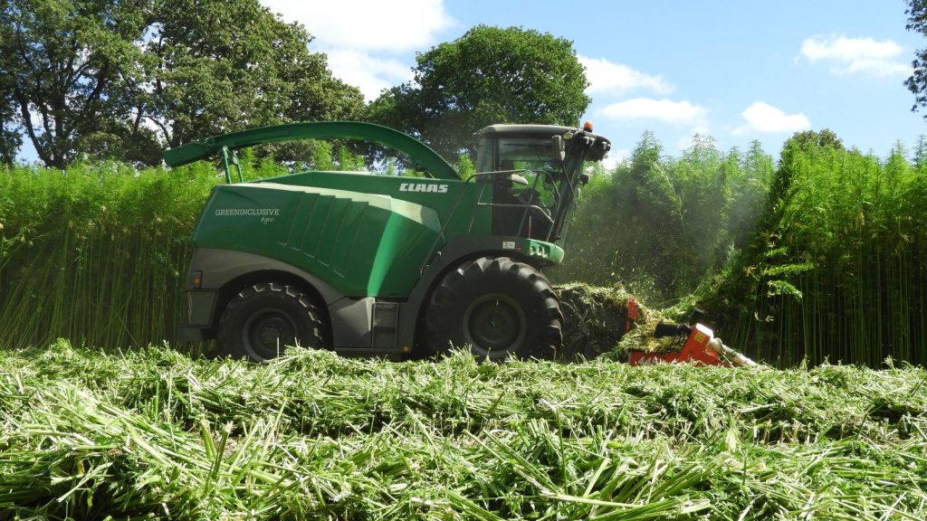 Vezelhennep maaien (credit) Vereniging Circulair Friesland-GreenInclusive